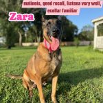 66BB3ED0-A274-4818-95B3-3DA12D67E563